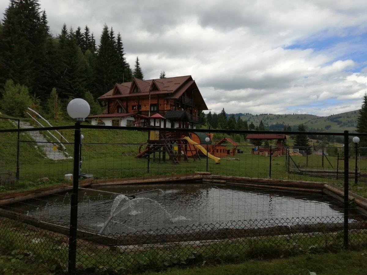 Pensiunea Waldhaus - Vatra Dornei Exterior photo
